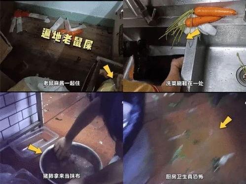 杨国福爆料视频,网红火锅背后的真实故事  第1张